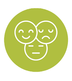 Social Emotional Theory